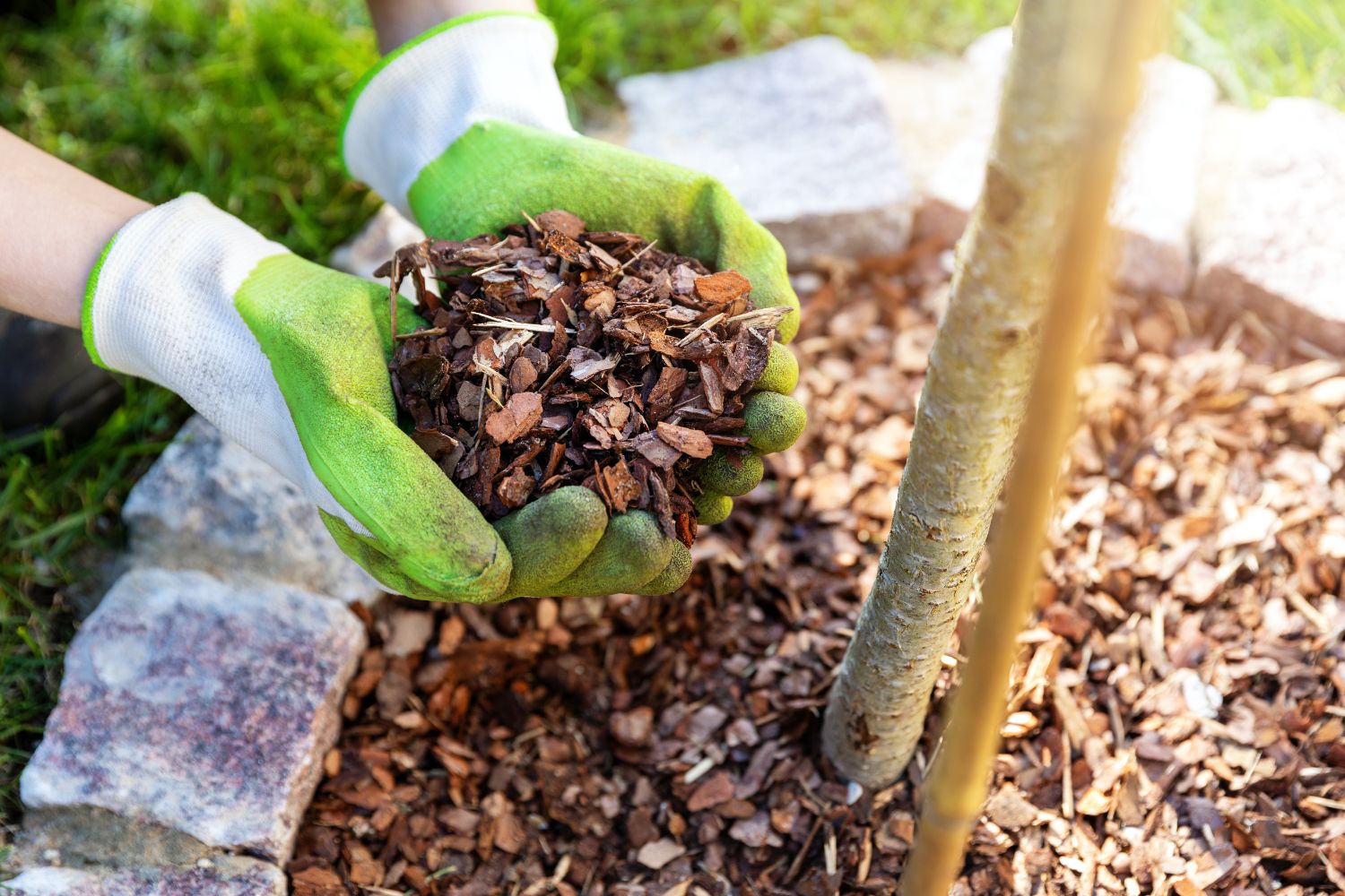 Winterbescherming voor planten